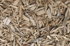 biomass boilers Salway Ash