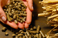 free Salway Ash biomass boiler quotes